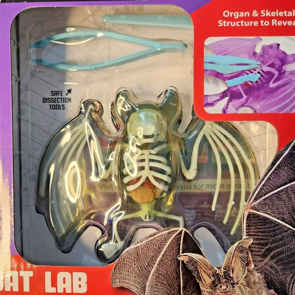 Dissect It Synthetic Dissection Kit - Bat Lab‎